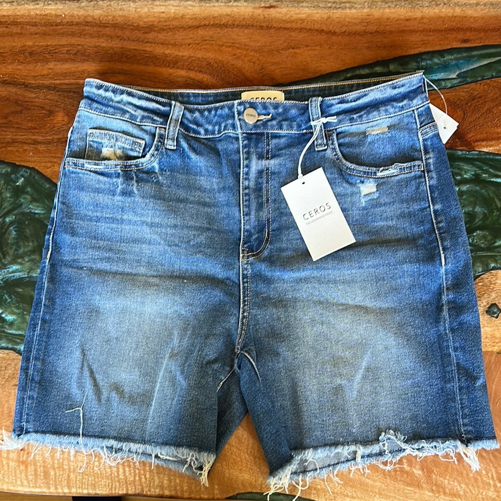 High-Waisted Blue Jean Shorts with Distressed Hem